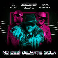 No Debí Dejarte Sola (Remix) (Single)