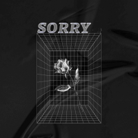 Sorry (Single)