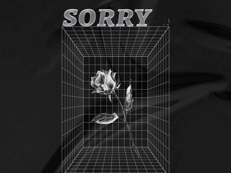 Sorry (Single)