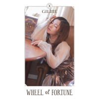 WHEEL OF FORTUNE (Single)