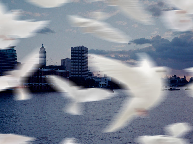 You Remain (Live) (Single)