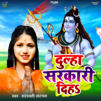 Dulha Sarkari Diha (Single)