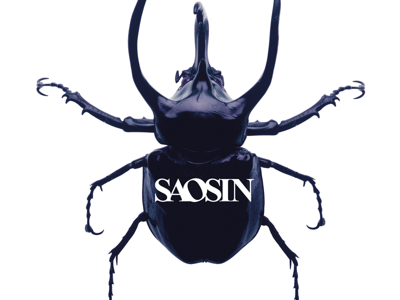 Voices (Acoustic) (Single)