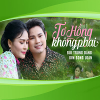 Tơ Hồng Không Phai (Single)