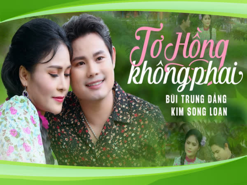 Tơ Hồng Không Phai (Single)