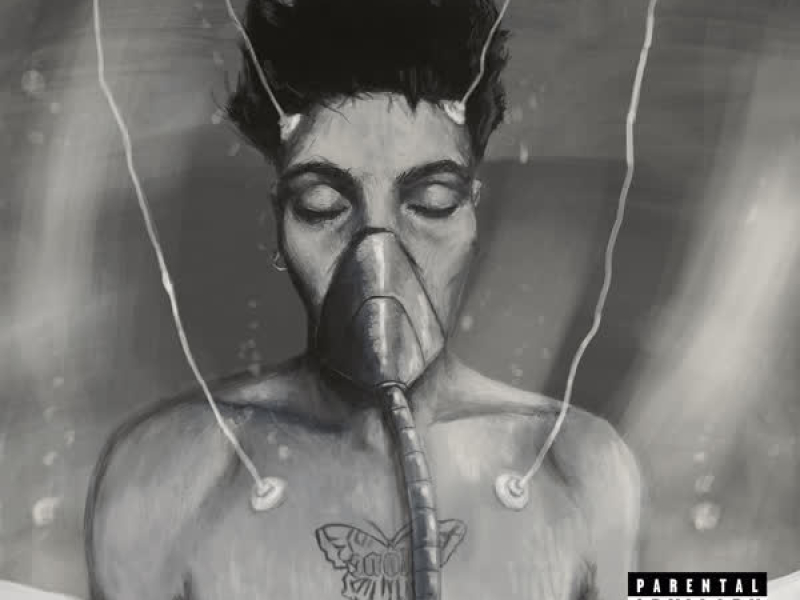 TORIYAMA (SAGA 1) (Single)