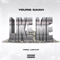 Like Me (Single)