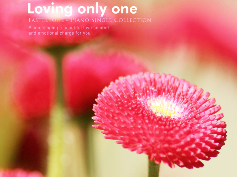 A Single Person Who Loves (Single)