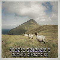 Toady Irish Clown (Live) (Single)