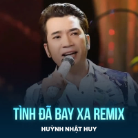 Tình Đã Bay Xa (Remix) (Single)