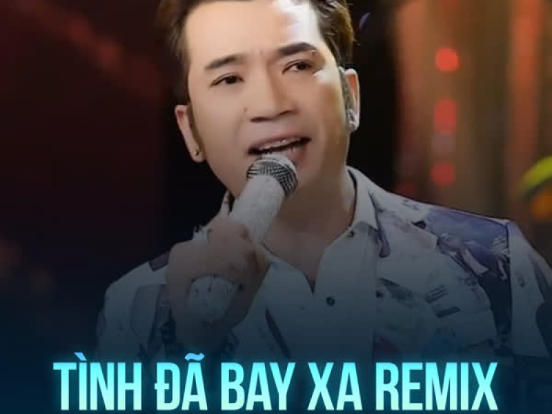Tình Đã Bay Xa (Remix) (Single)