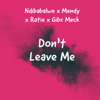 Don’t Leave Me (Single)
