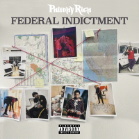 FEDERAL INDICTMENT (Single)