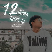 12 Tháng Tương Tư (Single)