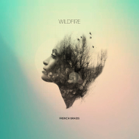 Wildfire (feat Frankmusik) (Single)