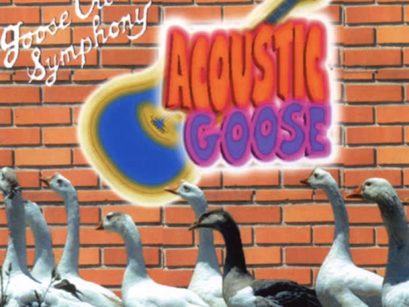 Acoustic Goose