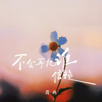 再不会把谁信赖 (Dj阿能版) (Single)