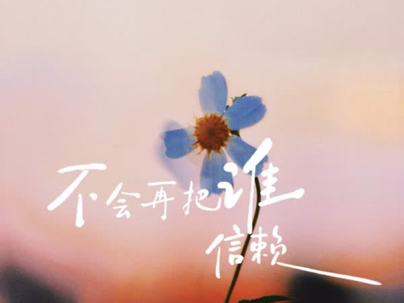 再不会把谁信赖 (Dj阿能版) (Single)