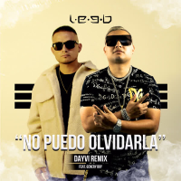 No Puedo Olvidarla (Dayvi Remix) (Single)