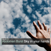 Sky In Your Hands (Single)