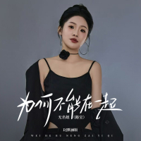 为何不能在一起 (DJ默涵版) (Single)