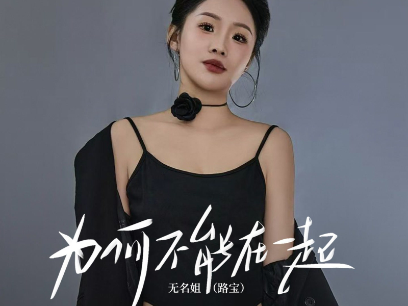 为何不能在一起 (DJ默涵版) (Single)