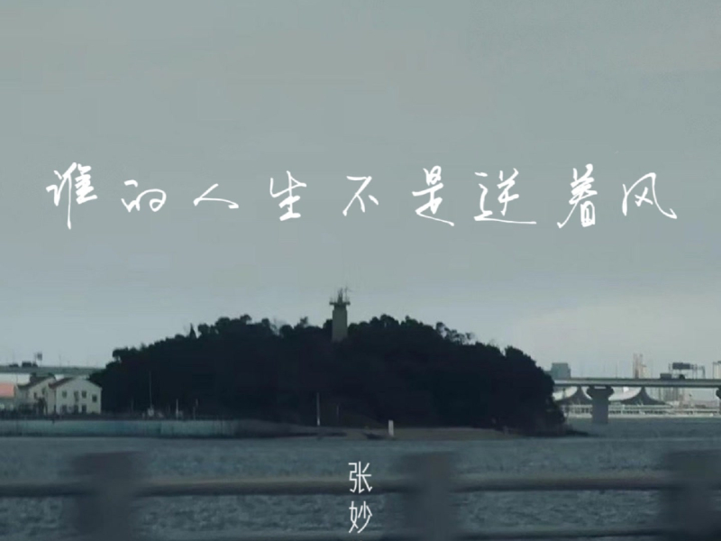 谁的人生不是逆着风 (Single)