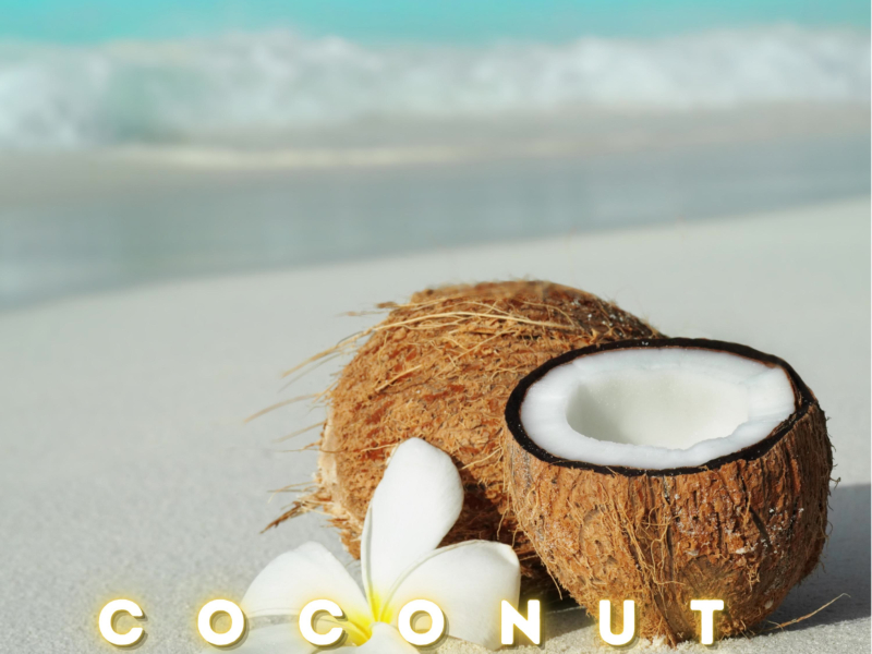 Coconut (Single)