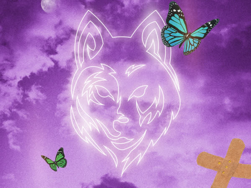 Butterflies & Bandaids (VIZE Remix) (Single)