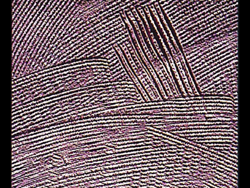 Robyn Schulkowsky: Hastening Westward