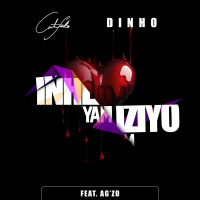 Inhliziyo Yam (Single)