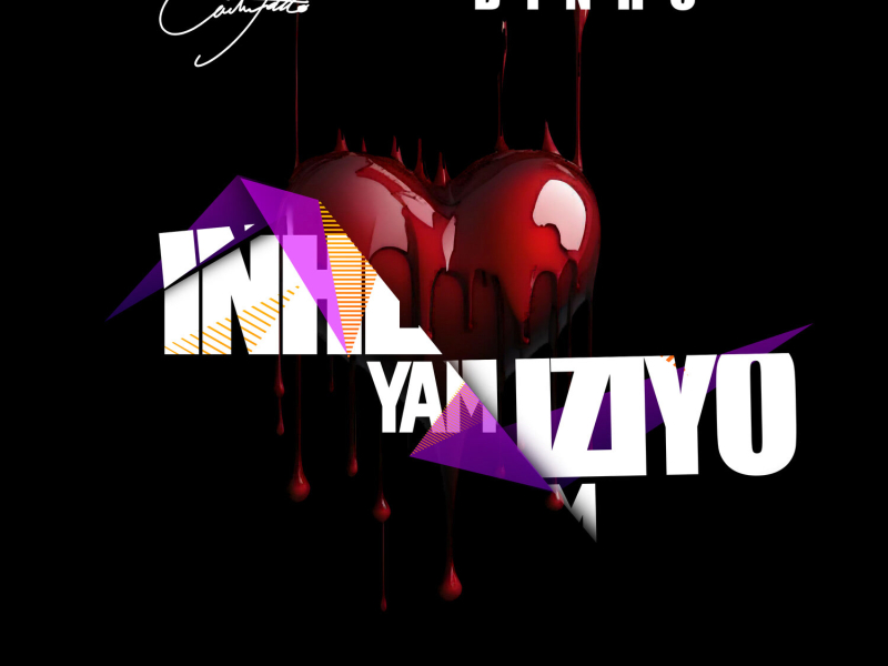 Inhliziyo Yam (Single)