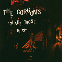 Shake Those Hips (Single)