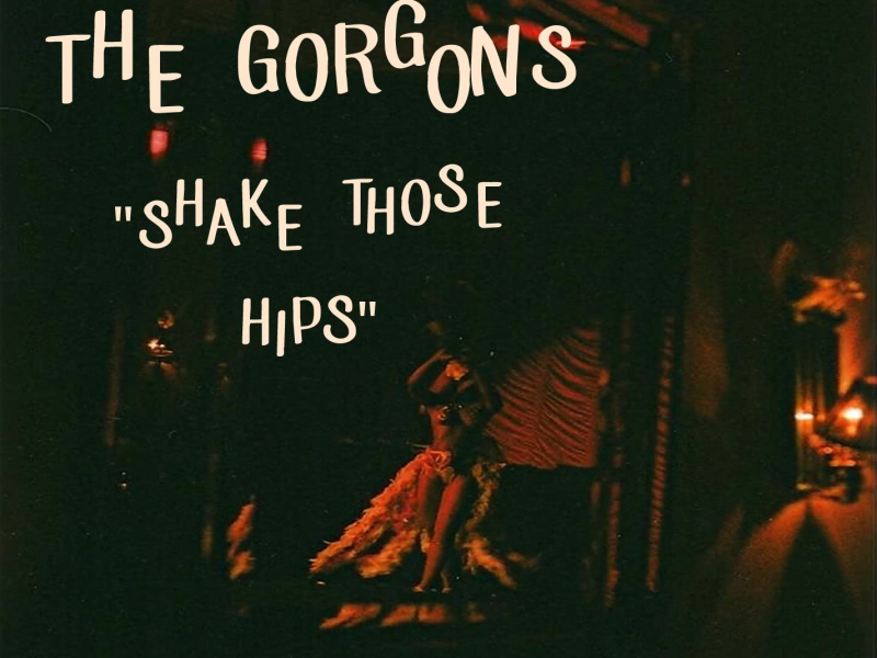 Shake Those Hips (Single)