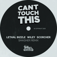 Can't Touch This (Smasher Remix) (Single)