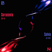 Sarracenia / Salvia (EP)