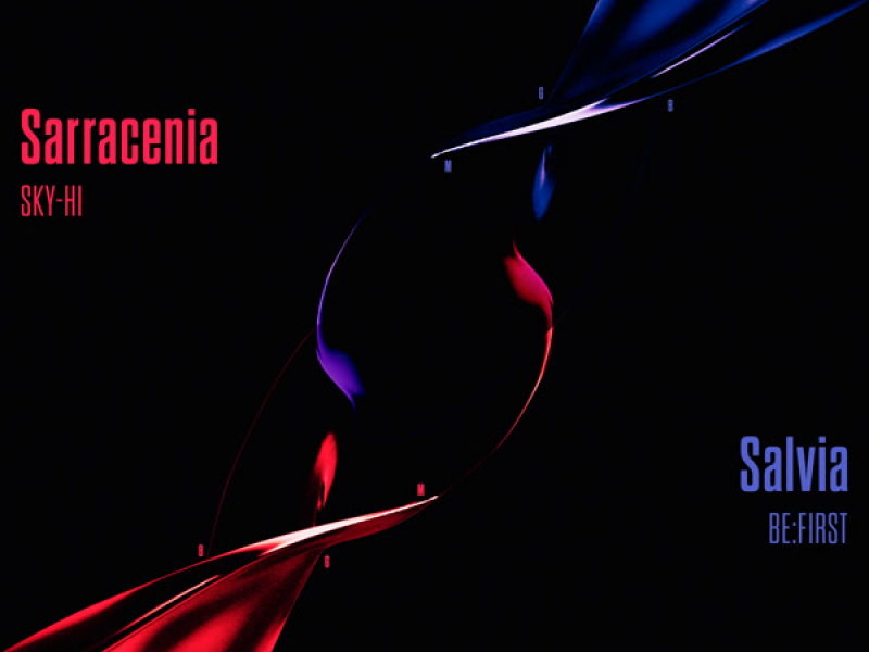 Sarracenia / Salvia (EP)