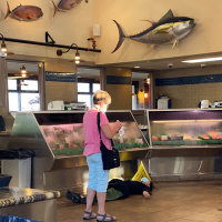 Spoiled little brat (six impala Version) (Single)