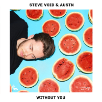 Without You (Single)