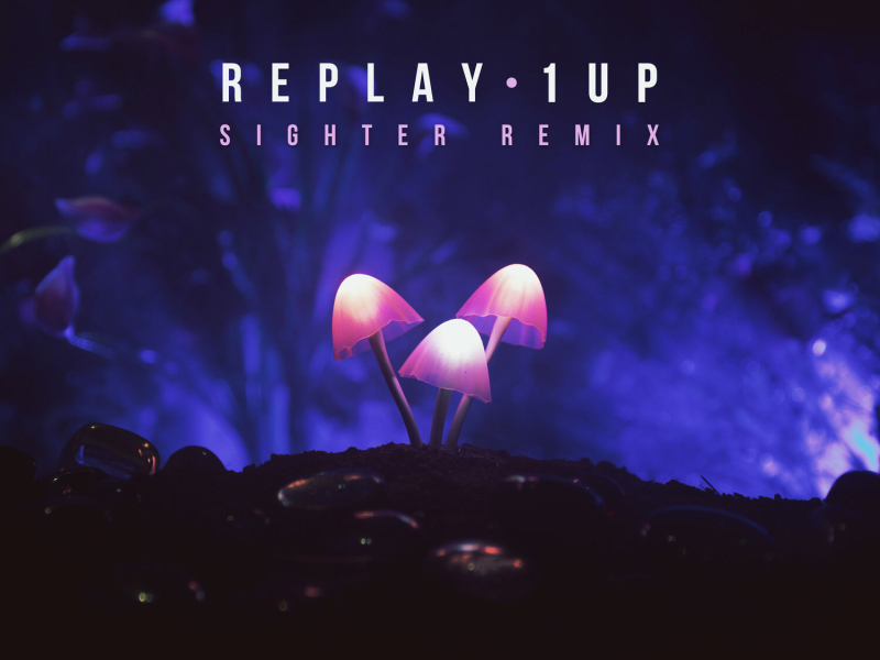 1 Up (Sighter Remix) (Single)