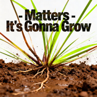 It's Gonna Grow (Single)