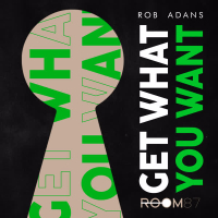 Get what you want (Radio) (Single)