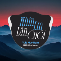 Nhìn Em Lần Cuối (Remix) (Single)