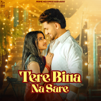 Tere Bina Na Sare (Single)