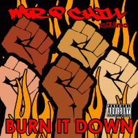 Burn It Down (Single)