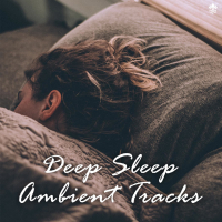 Deep Sleep Ambient Tracks (Single)