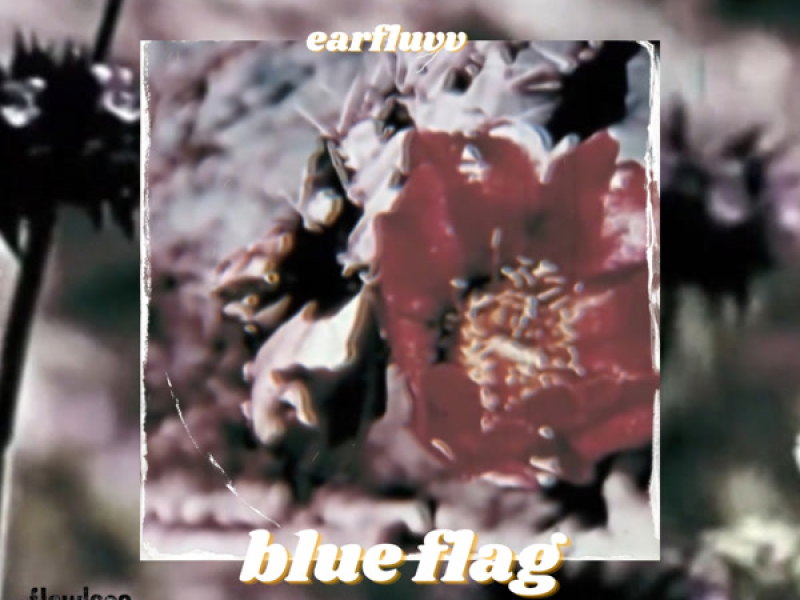 blue flag (Single)