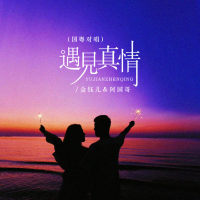 遇见真情 (国粤对唱) (Single)