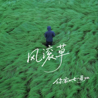 风滚草 (Single)