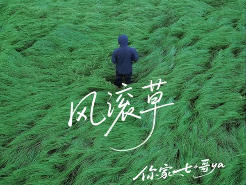 风滚草 (Single)